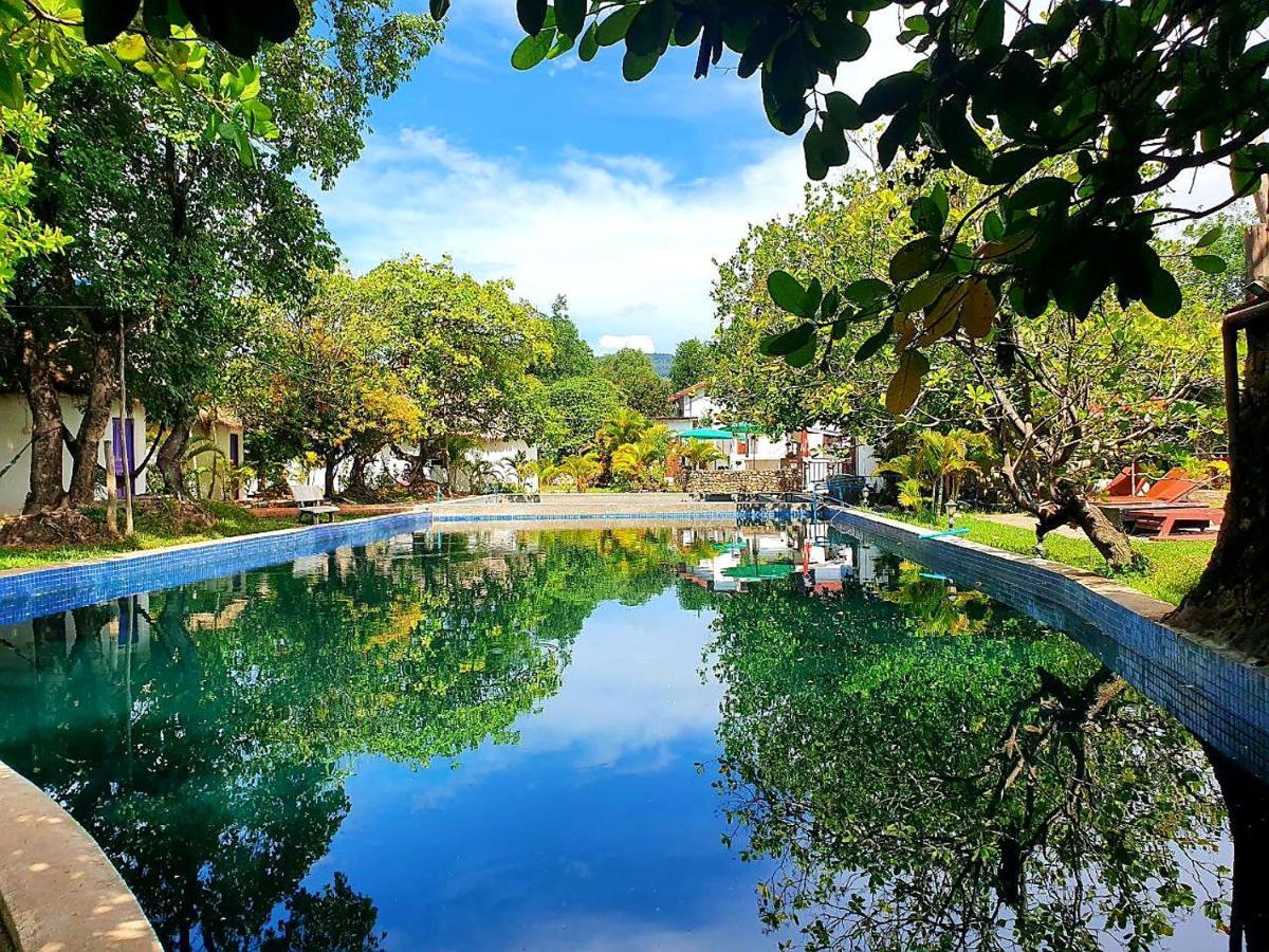 Bohemiaz Resort and Spa Kampot Bagian luar foto