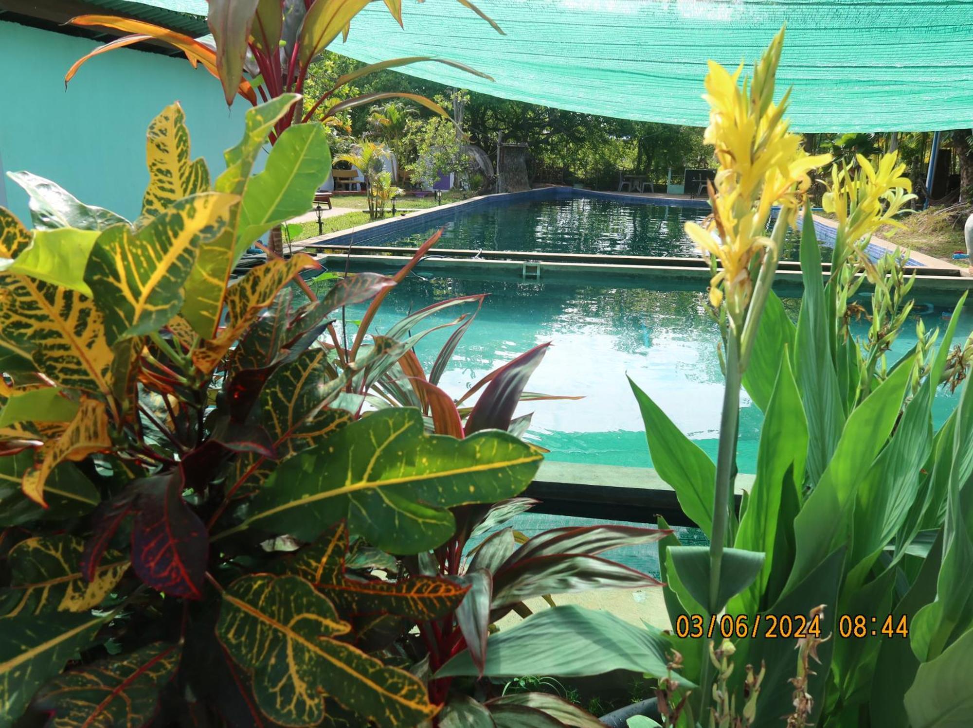 Bohemiaz Resort and Spa Kampot Bagian luar foto